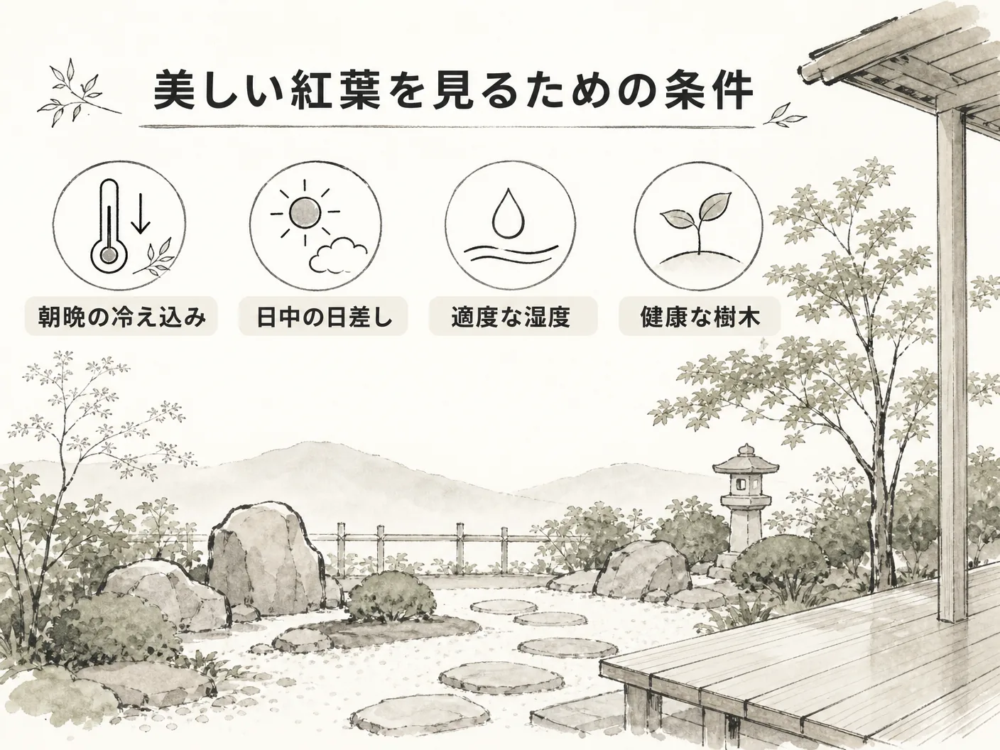 美しい紅葉を見るための条件を表す図解イラスト