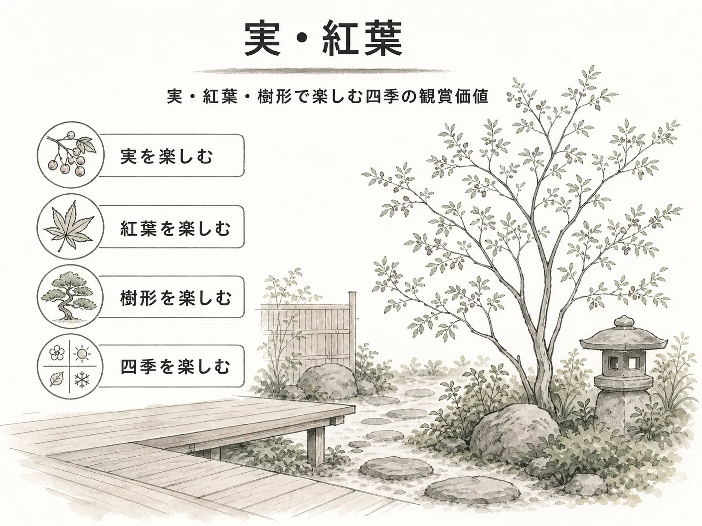 アズキナシ 庭木の実・紅葉・樹形で楽しむ四季の観賞価値を表す図解イラスト