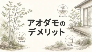 アオダモを庭木にして後悔する前に知っておきたい5つのことのアイキャッチ画像