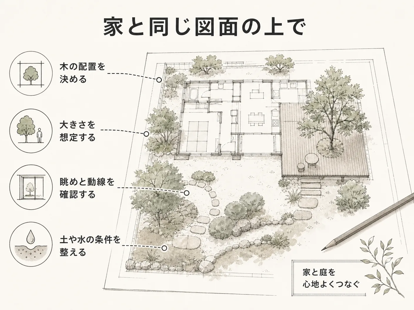 アオダモ 庭木 デメリットの家と同じ図面の上で、木の居場所を決めるを表す図解イラスト