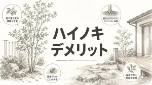 ハイノキを庭木にして後悔しないための7つの選び方のアイキャッチ画像