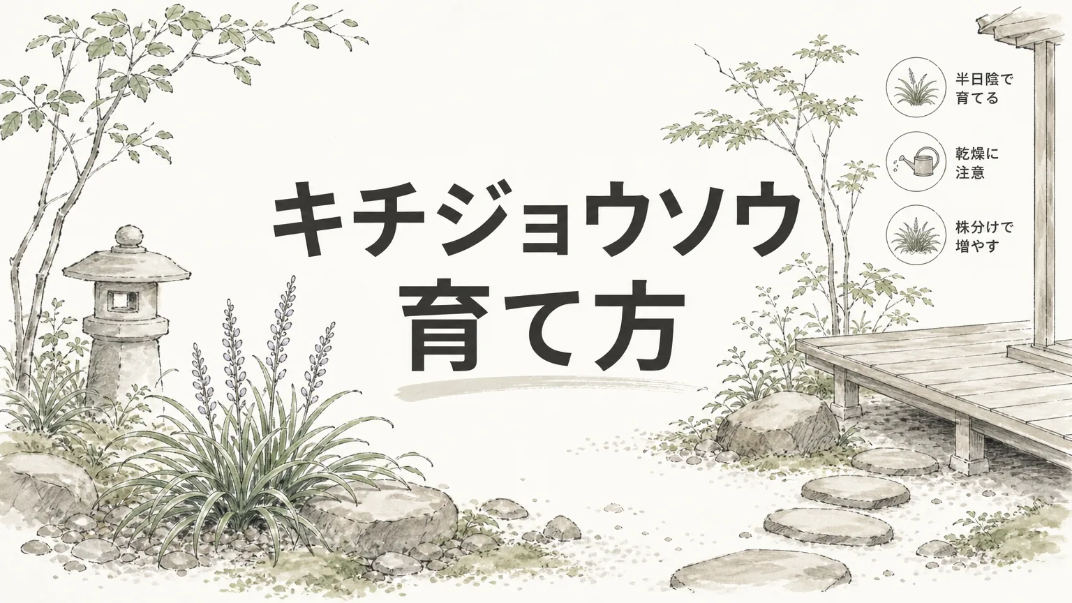 キチジョウソウの育て方|日陰の足元を静かに緑で満たす草のアイキャッチ画像