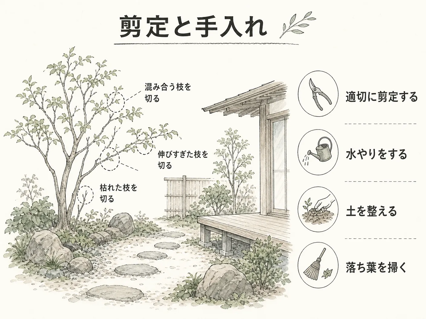 コバノズイナ 庭の剪定と手入れを表す図解イラスト