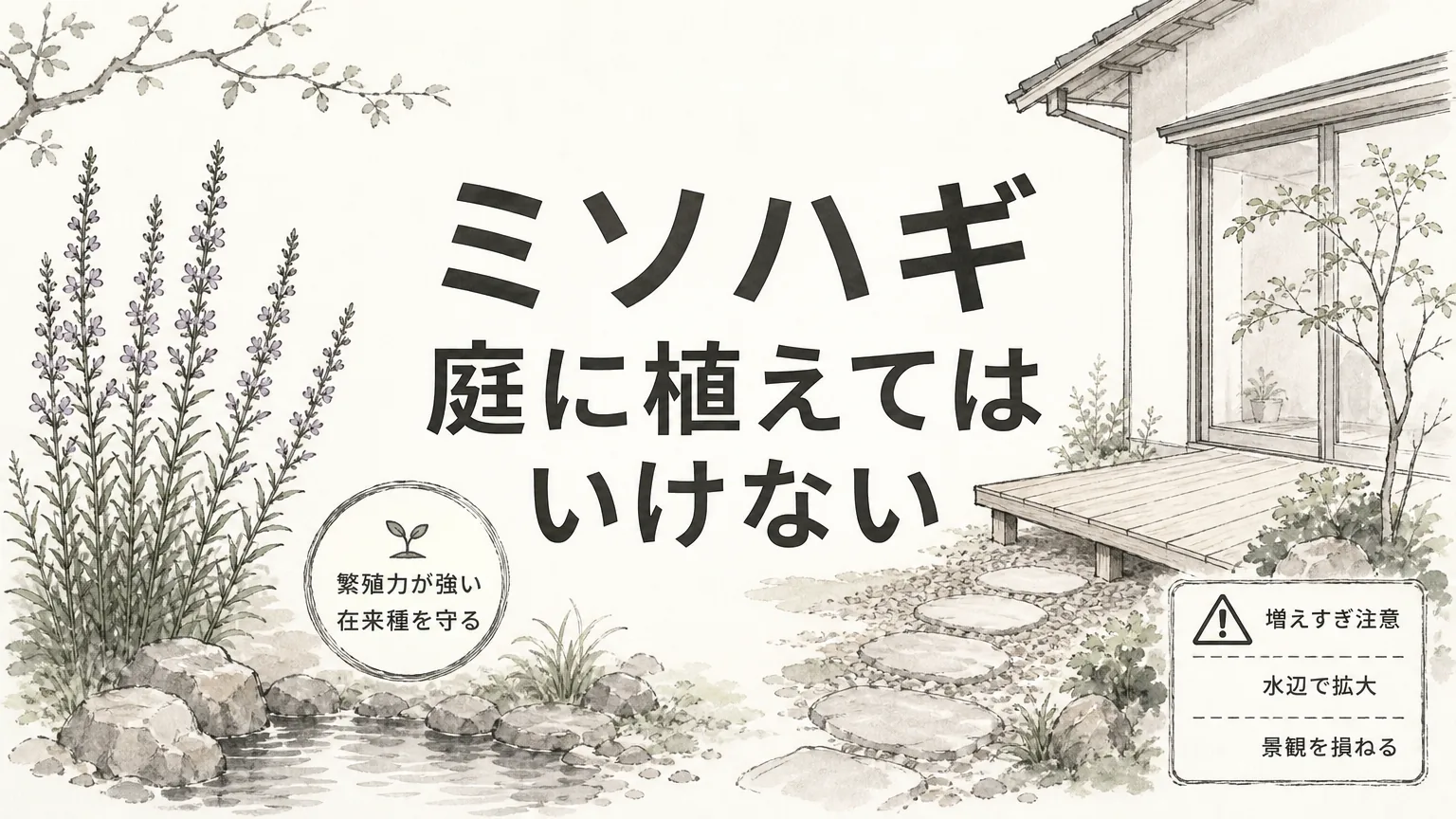 ミソハギを庭に植えてはいけない?理由と上手な活かし方のアイキャッチ画像