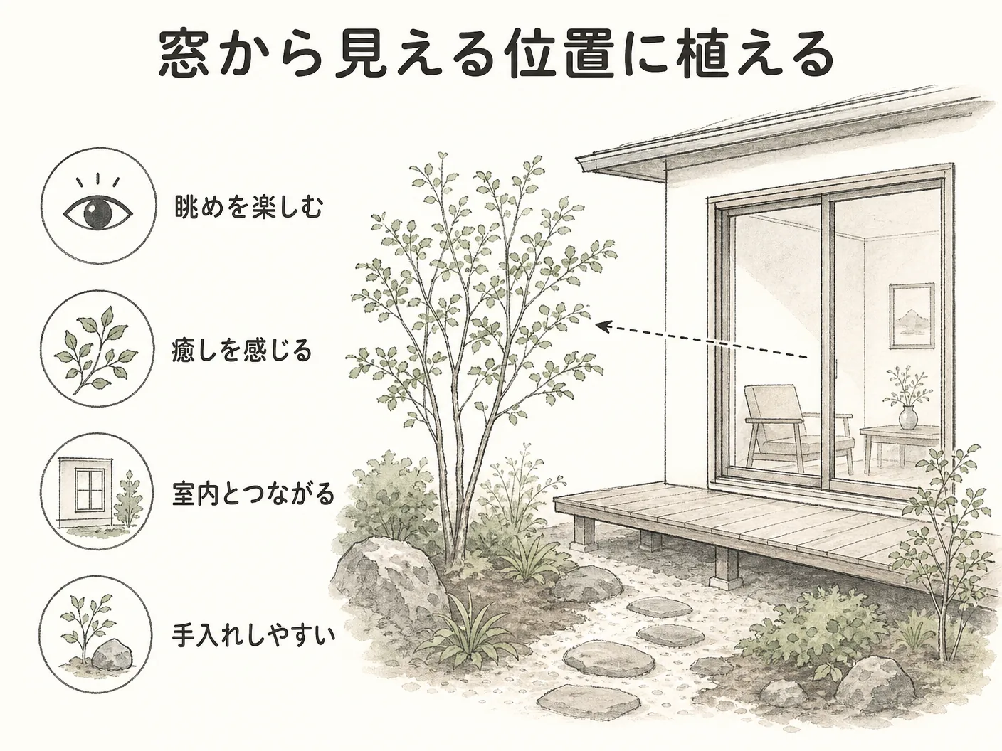 新築 外構 植栽の窓から見える位置に植えるを表す図解イラスト