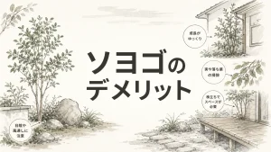 ソヨゴを庭木にするデメリットと後悔しない選び方・育て方のアイキャッチ画像