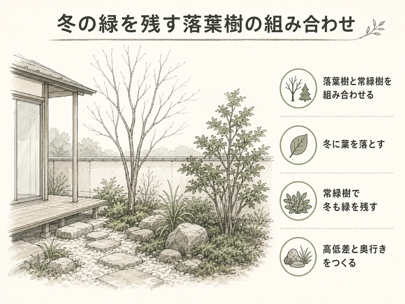 ソヨゴ 庭木 デメリットの落葉樹と組み合わせて冬の緑を残すを表す図解イラスト
